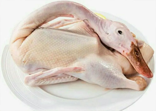 孕妇可以吃鹅肉吗？